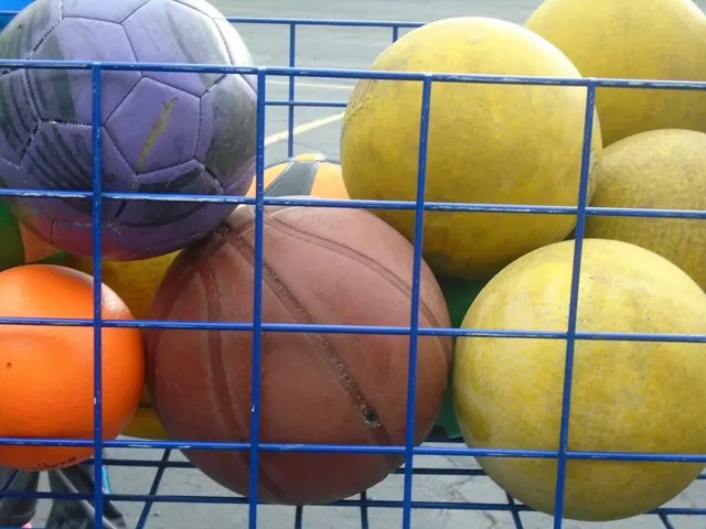 Sports balls of different sizes in a ball cage